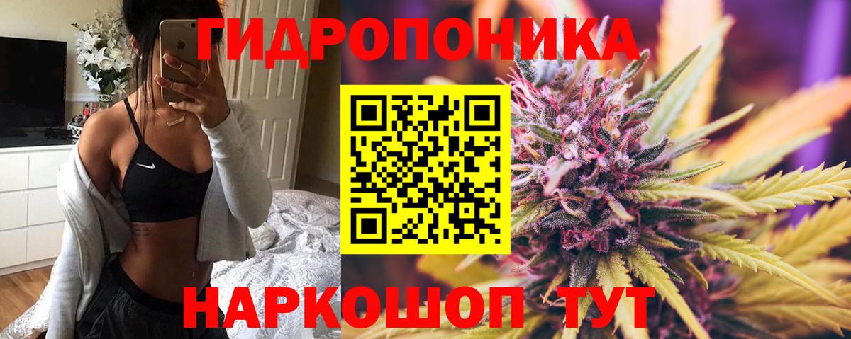 Марихуана ГИДРОПОН Звенигород